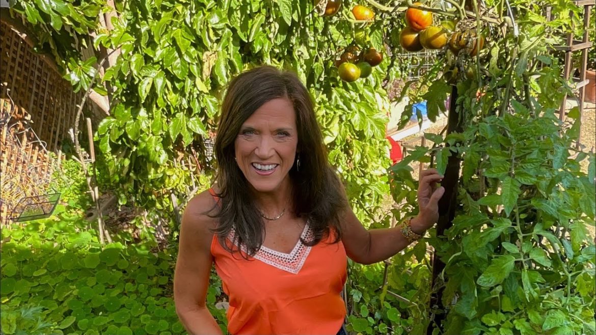 🍅LIVE: February Garden To Do List  - Spring’s a Coming!