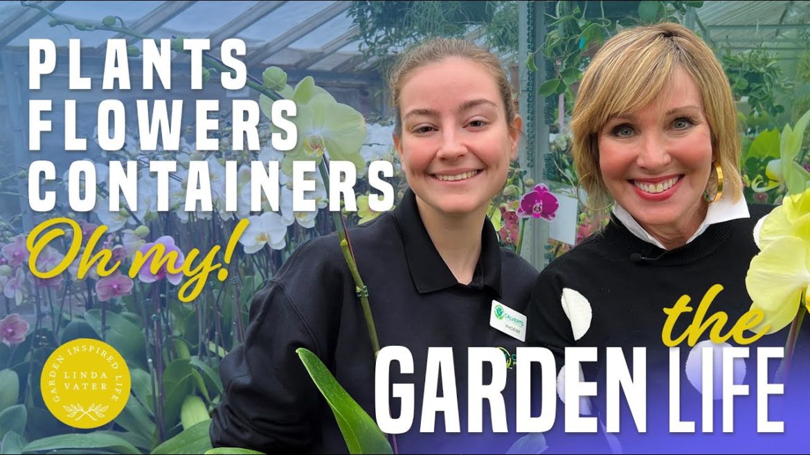 Plants, Flowers, Containers Oh My! Plants, Flowers, Containers Oh My!