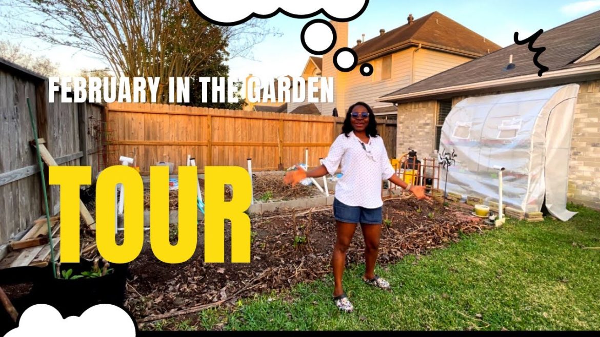 Gardening in February: FULL Garden Tour, Chores and Tips (2023)
