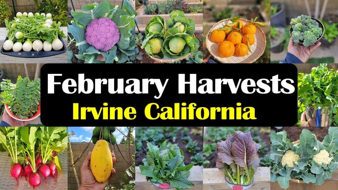 Need a New Hobby? Discover the Joys of Winter Gardening!