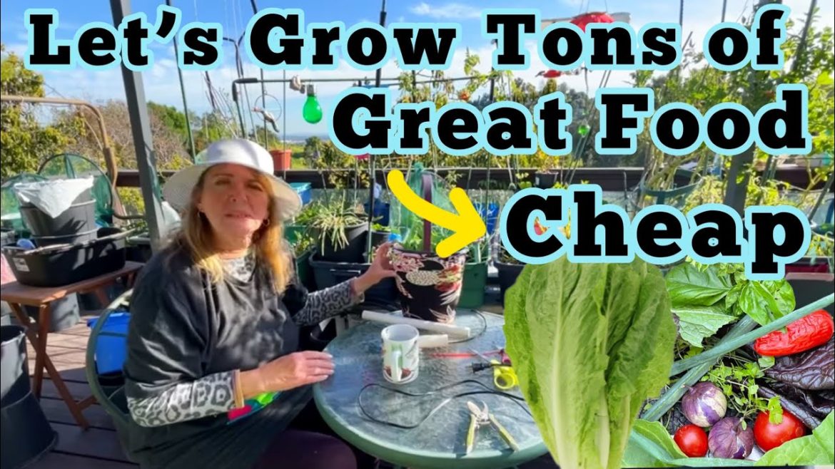 Grow Vegetables on a Budget Staking Trellising Covering Plants from Sun & Critters Irrigation Tubing Grow Vegetables on a Budget Staking Trellising Covering Plants from Sun & Critters Irrigation Tubing