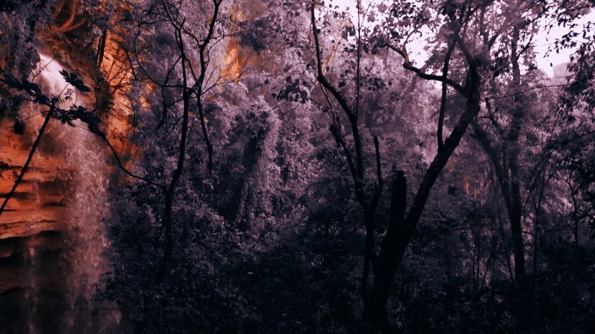 Peaceful Garden – Healing Light Piano for meditation, zen, landscapes – Relaxing Nature Sounds Peaceful Garden - Healing Light Piano for meditation, zen, landscapes - Relaxing Nature Sounds