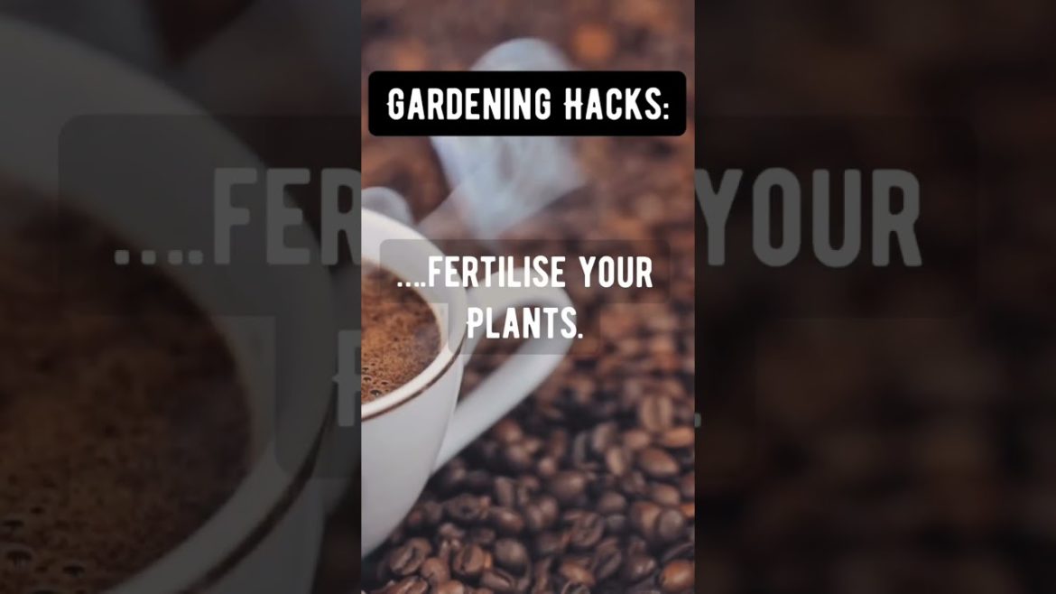 Guess what you can use coffee grounds for…. #gardeninghacks #vegetablegardening