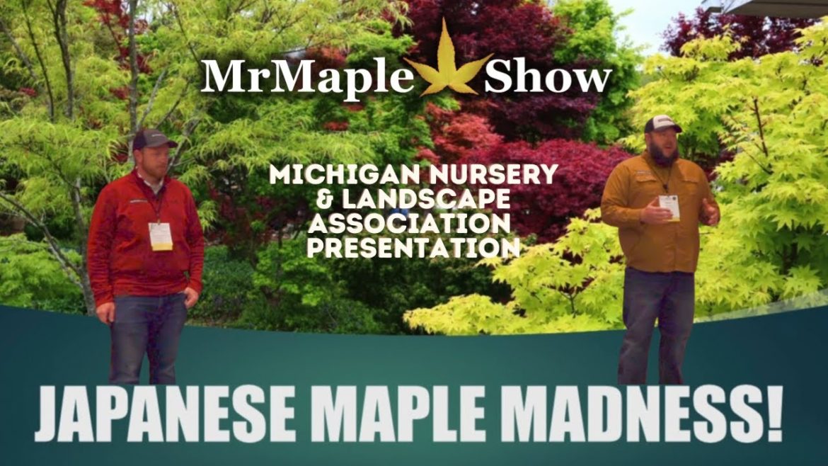Japanese Maple Madness | MLNA Presentation by MrMaple.com | Talk #2 Japanese Maple Madness | MLNA Presentation by MrMaple.com | Talk #2