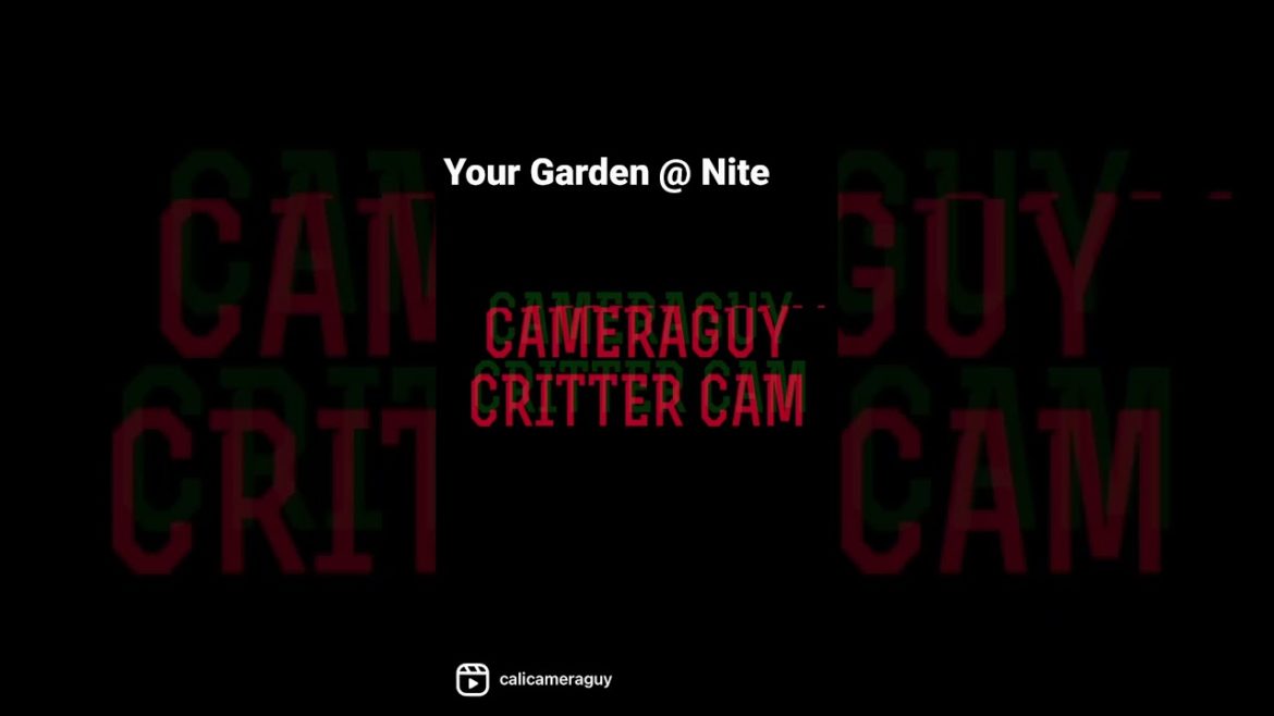 Your Garden at night …