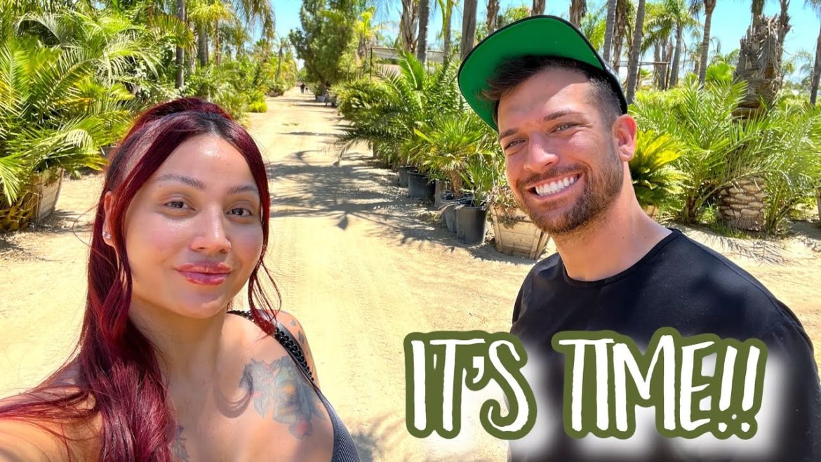 GETTING READY TO LANDSCAPE OUR BACKYARD!! GETTING READY TO LANDSCAPE OUR BACKYARD!!