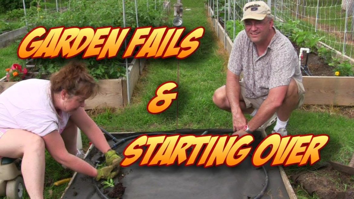 Garden Fails, Starting Over, & Other Garden Tips Garden Fails, Starting Over, & Other Garden Tips