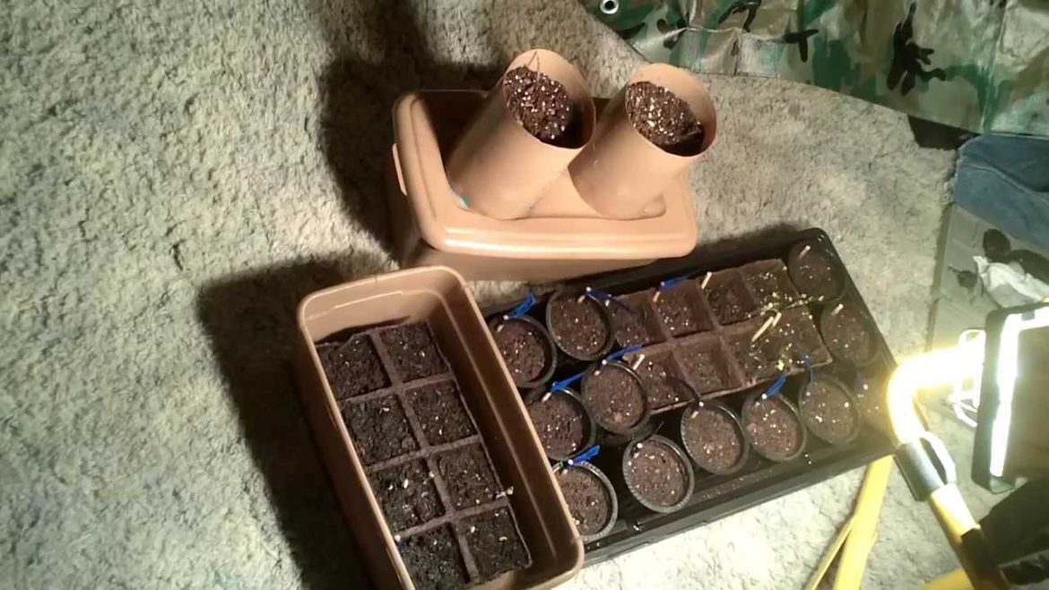 Self Watering Portable Container Garden! How To Build for $0.88! Self Watering Portable Container Garden! How To Build for $0.88!