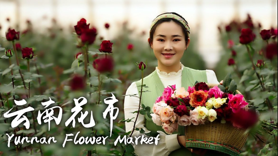 阿盆姐的Vlog｜带你们看看云南最浪漫的花市！【滇西小哥】