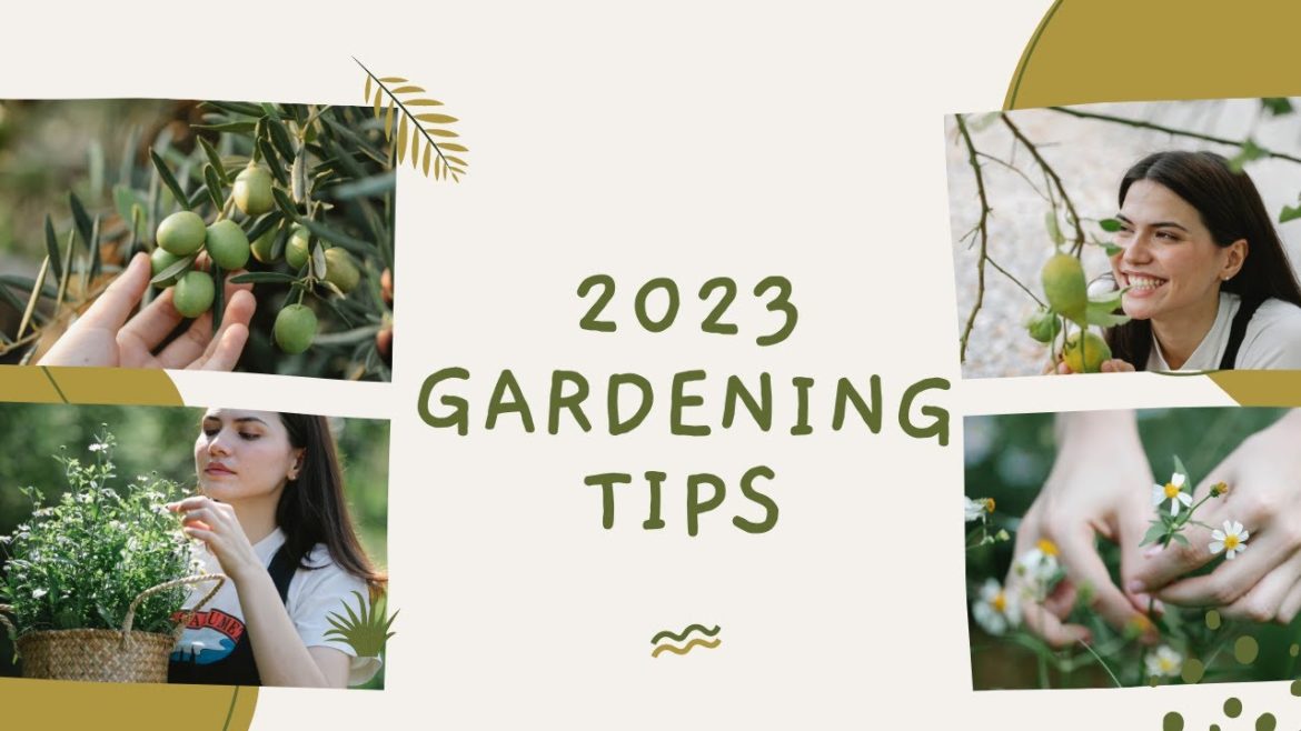 Maximizing Your 2023 Garden -  Tips for a Bountiful Harvest