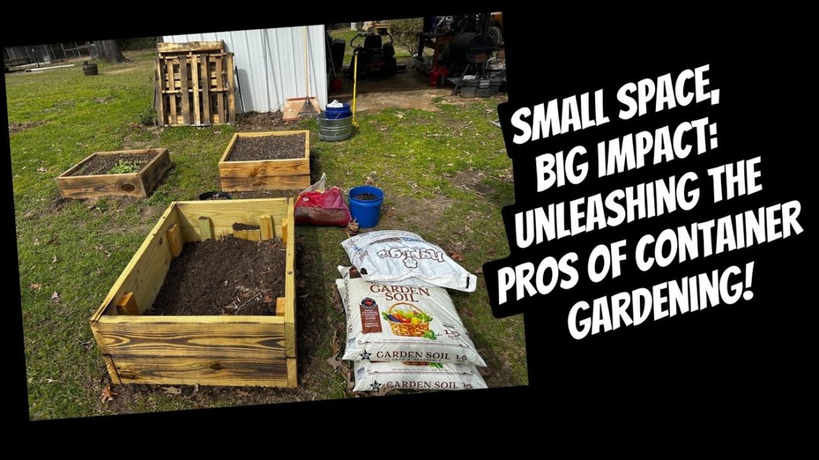 Small Space, Big Impact: Unleashing the Pros of Container Gardening! Small Space, Big Impact: Unleashing the Pros of Container Gardening!