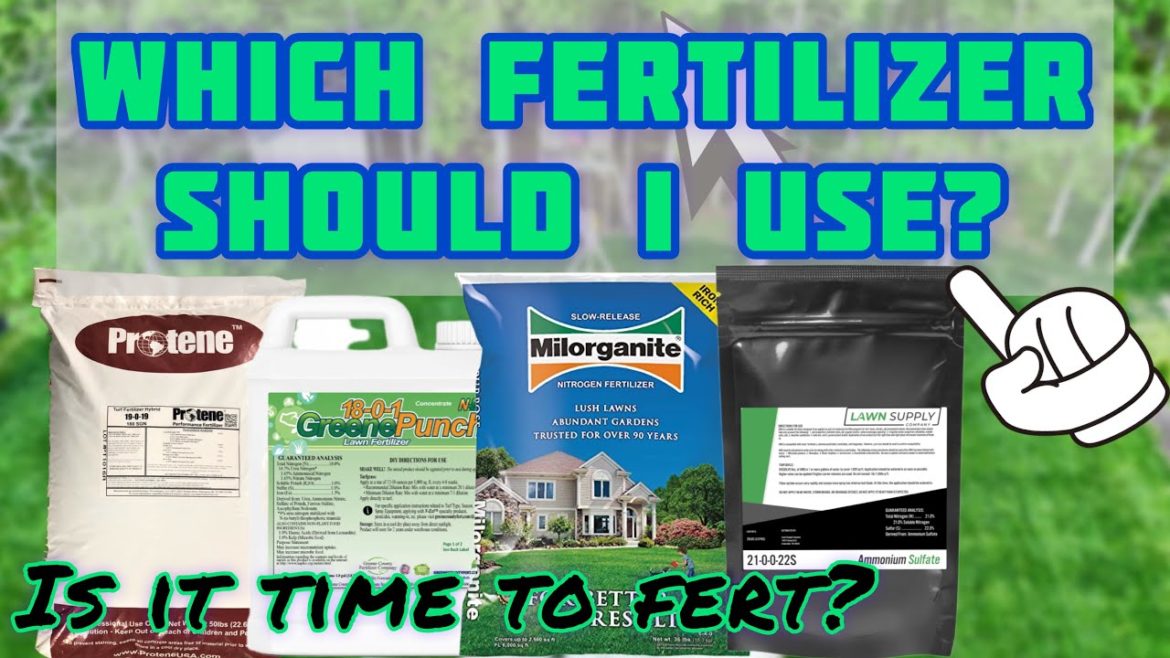 When Should We Apply Our First Fertilizer App??