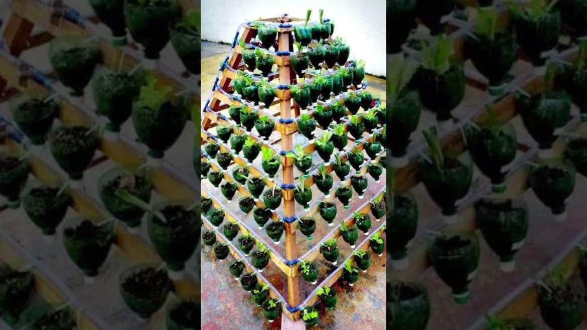 Vertical Garden ideas 🥰 #shorts