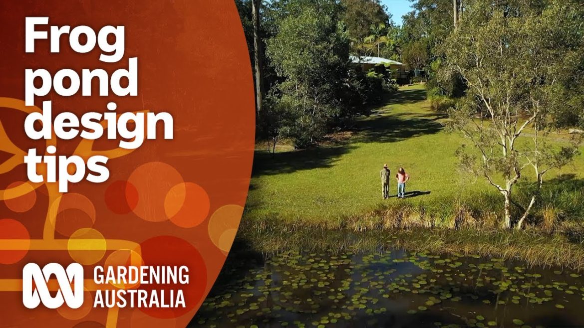 Frog pond design tips with an expert landscape gardener | Garden Design | Gardening Australia Frog pond design tips with an expert landscape gardener | Garden Design | Gardening Australia