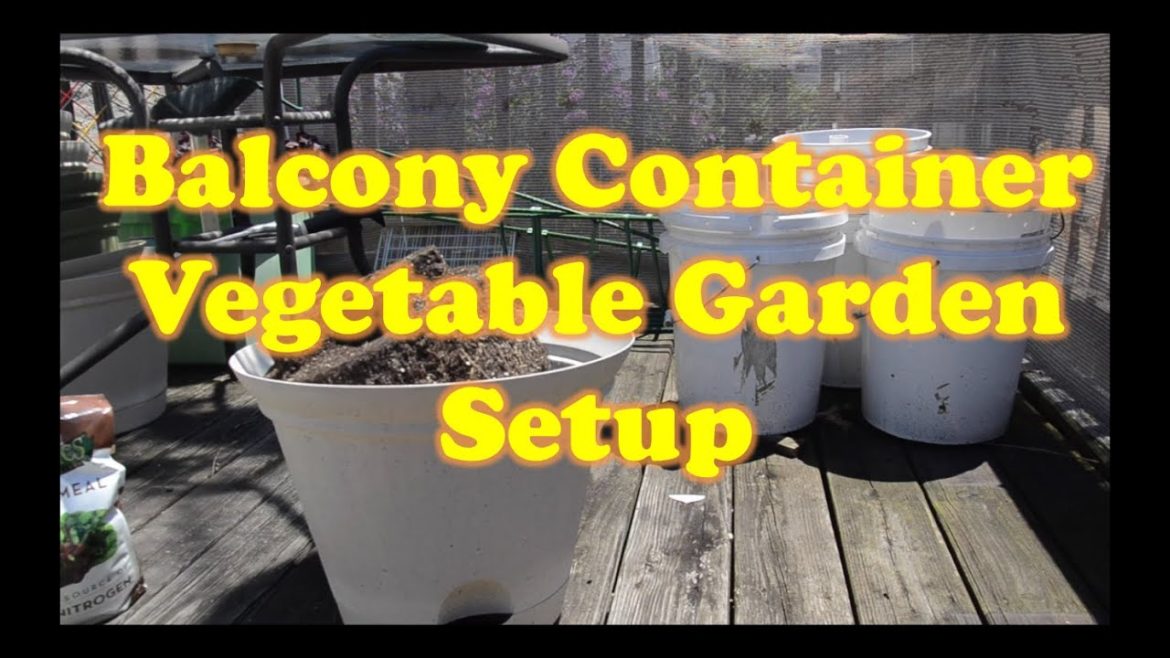 Balcony Container Garden Setup 2016!