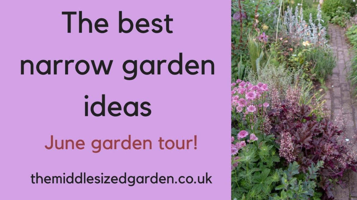 The best narrow garden ideas - make your garden look bigger!