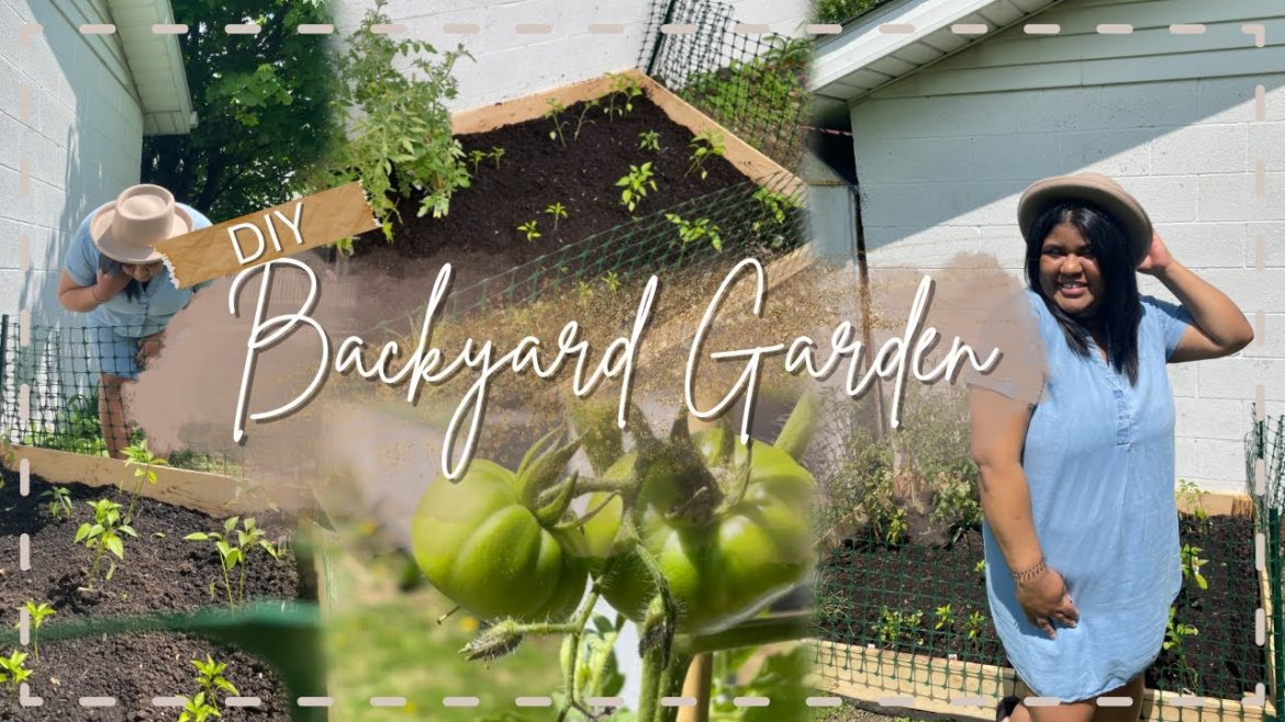 My First Backyard Garden | DIY our first garden bed, vegetables, and herbs at home!