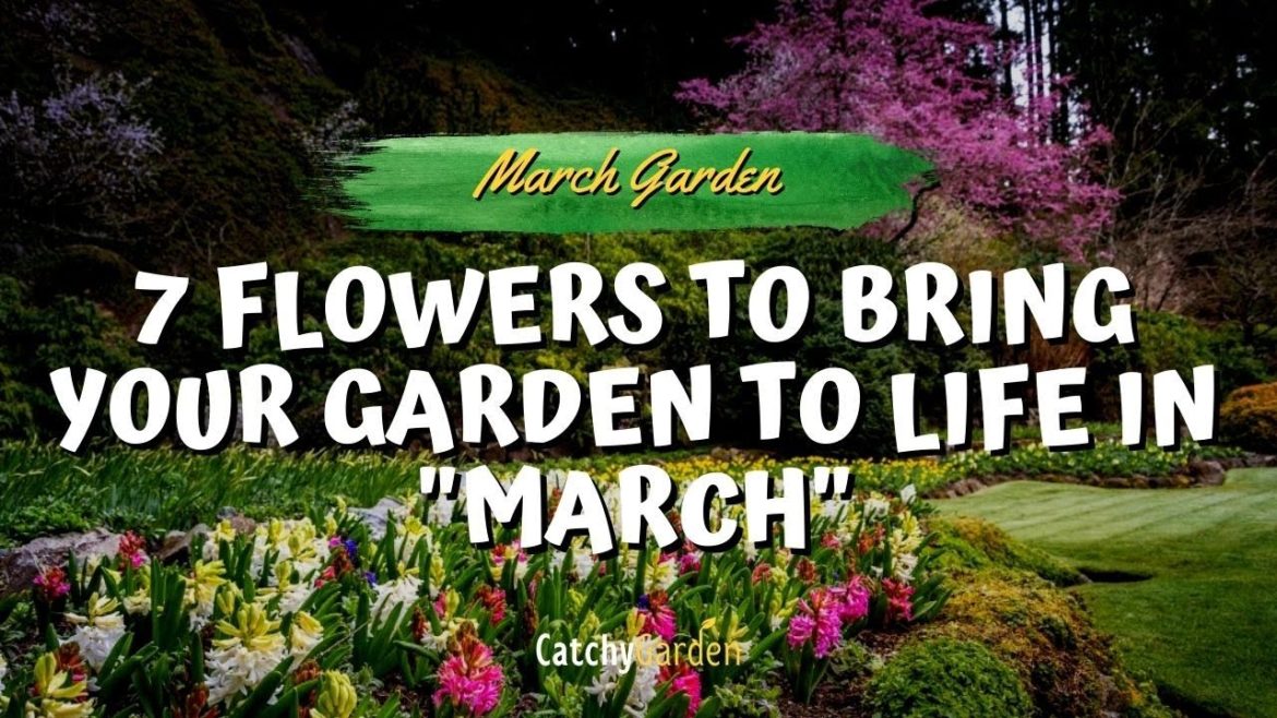 Top 7 Flowers to Bring Your Garden to Life in March 🌻🌿🌷 // Gardening