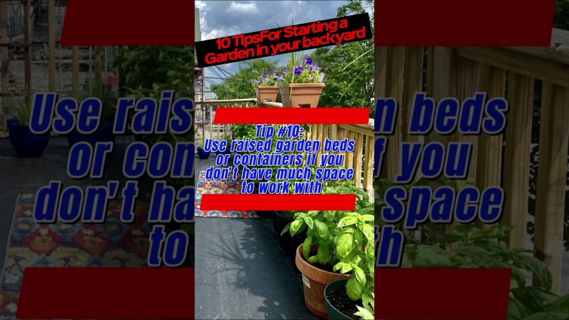 Gardening Tips #10: Use raised garden beds or containers if you don't have much space to work with