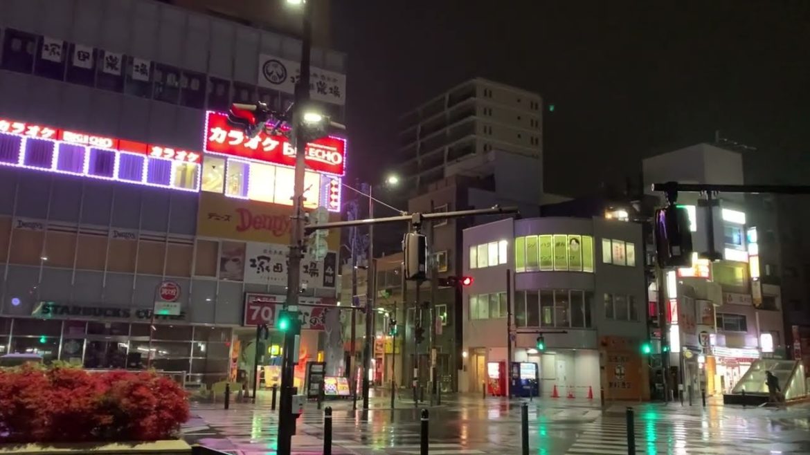 Japan Late Night Downpour Rain Collage 2021.12.01 ASMR Ambience Sound Sleep Meditate Relax Tokyo