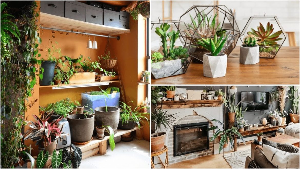 10 Living Room Garden Ideas