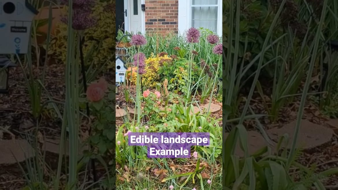 Frontyard Edible landscape example dat is super easy to do #ediblelandscape #gardeningtip #vegetable
