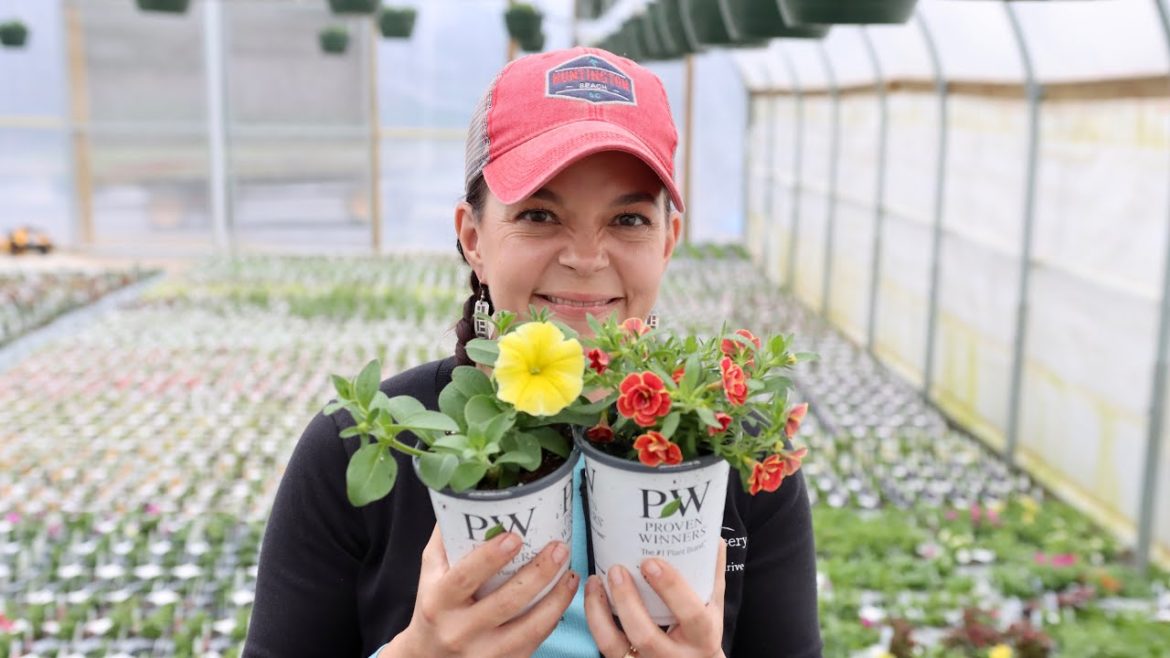 2024 New Annual Introductions From Proven Winners | Gardening with Creekside 2024 New Annual Introductions From Proven Winners | Gardening with Creekside