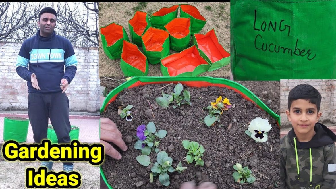 Kitchen Garden / Terrace Gardening Unique Ideas With Tariq Khan Kitchen Garden / Terrace Gardening Unique Ideas With Tariq Khan