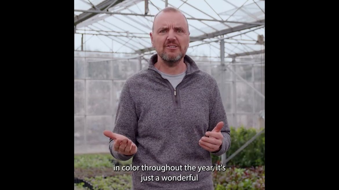 Why do you love gardening? | Gardening Tips with John