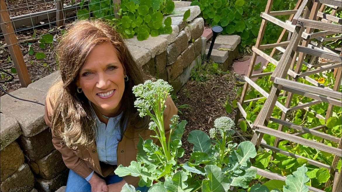 CaliKim: LIVE: March Garden To Do List (For Any Climate) LIVE: March Garden To Do List (For Any Climate)