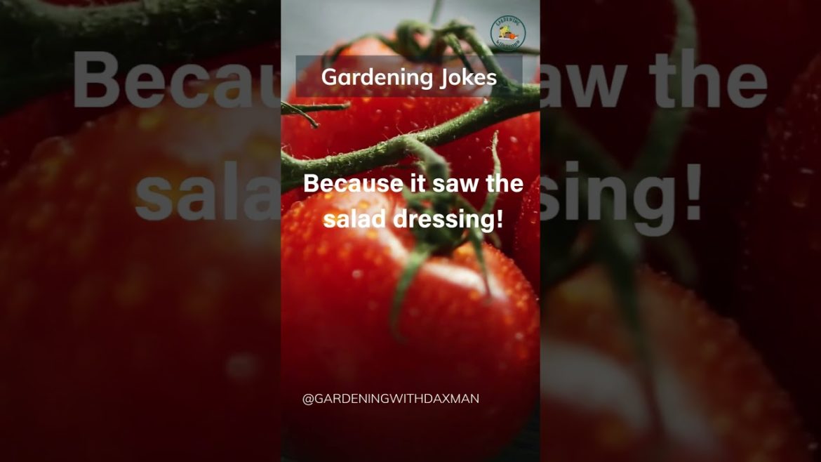 #gardeningjokes by #gardeningwithdaxman #gardeningjokes by #gardeningwithdaxman