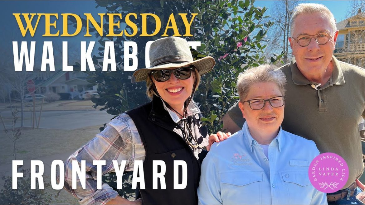 New Garden Design in Progress