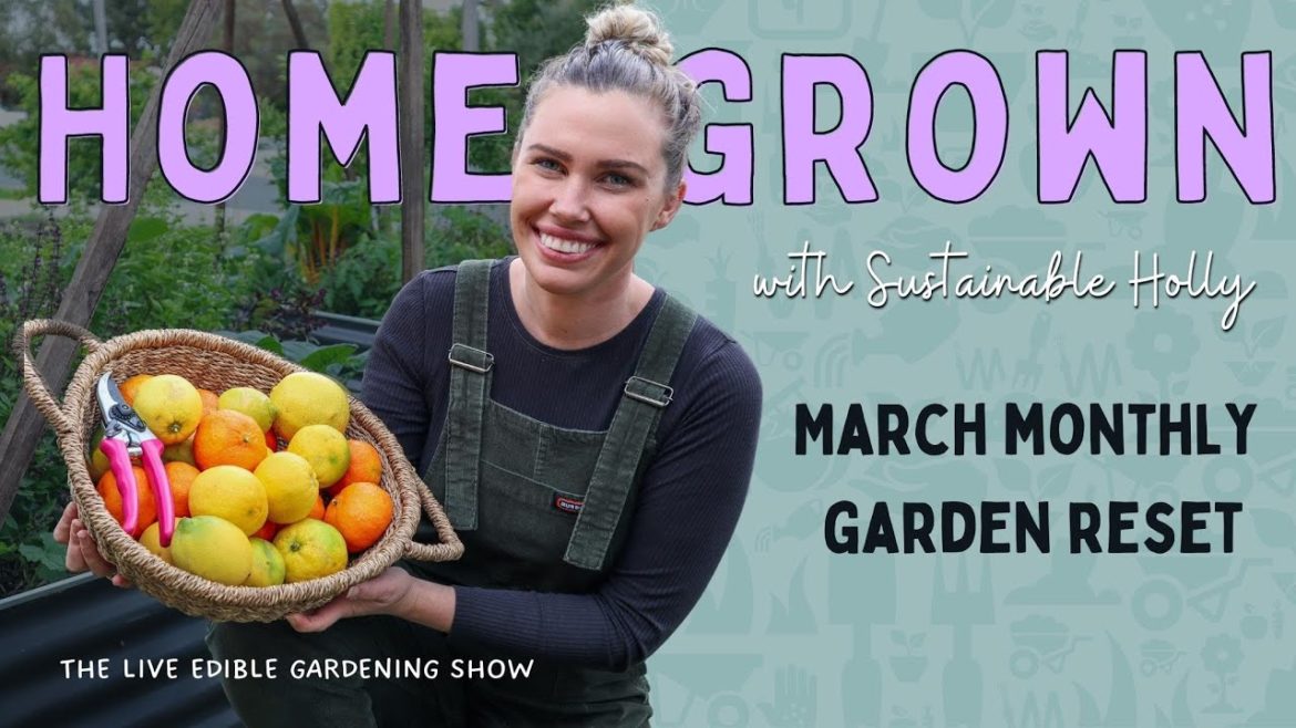 SEEDS AND DREAMS * March Monthly Garden Reset * 🌱 Planting Seeds and Goal Setting // S1E1