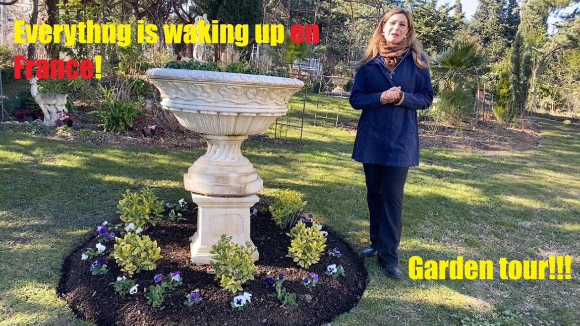 Everything is waking up en France! Garden tour!