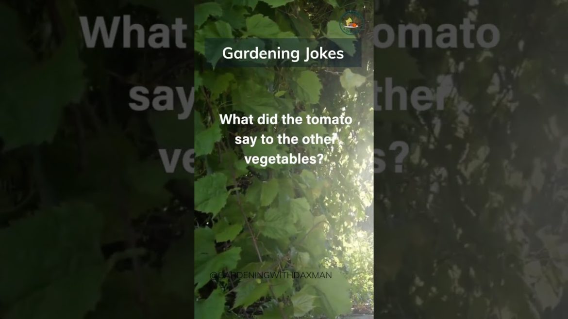 #gardeningjokes by #gardeningwithdaxman #gwdxm