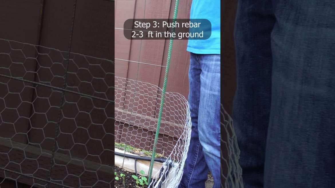 Garden Trellis Idea for tomatoes, cucumbers, peas & vegetables