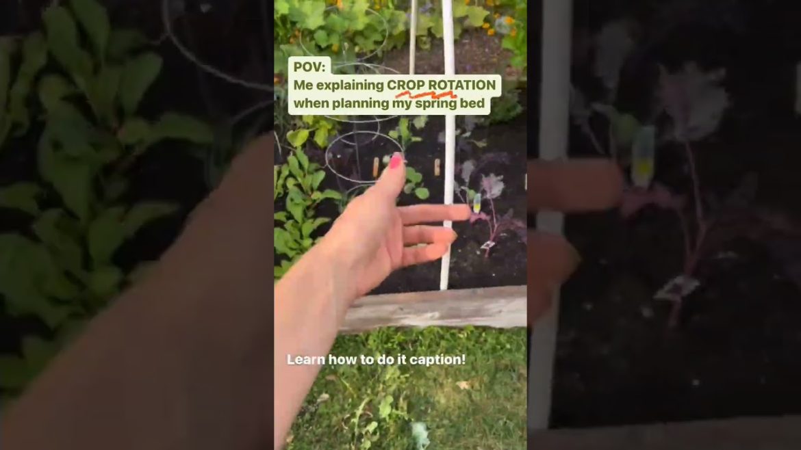 What Is Crop Rotation?