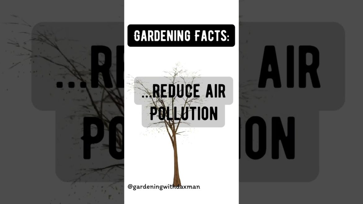 Planting Trees #gardeningfacts #shorts Planting Trees #gardeningfacts #shorts