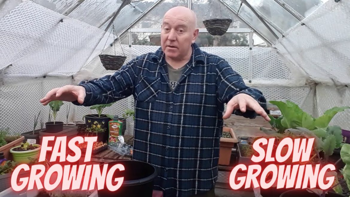 Fast Growing & Slow Growing Plants [Gardening Allotment UK] [Grow Vegetables At Home ]