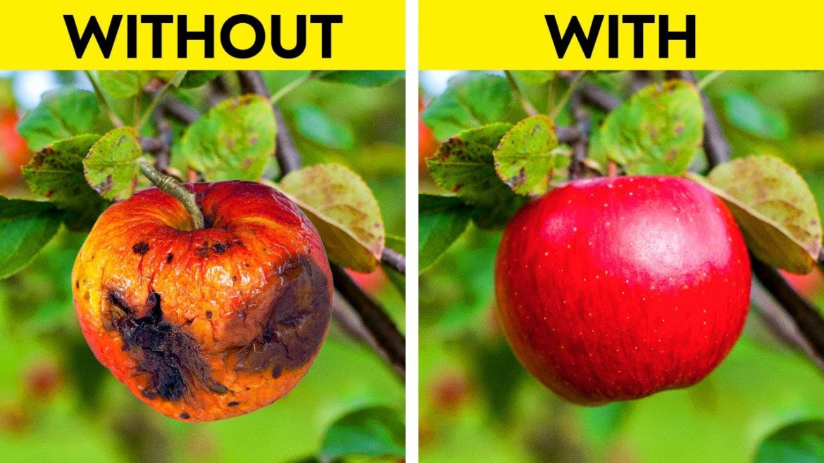 30 INCREDIBLE PLANTING HACKS || Gardening Tips, Growing Your Dream Garden