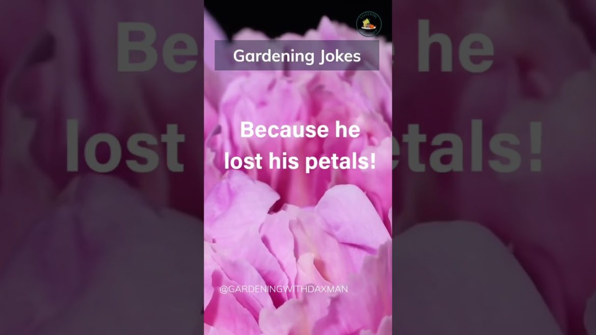 #gardeningjokes by #gardeningwithdaxman #GWDXM #gardeningjokes by #gardeningwithdaxman #GWDXM