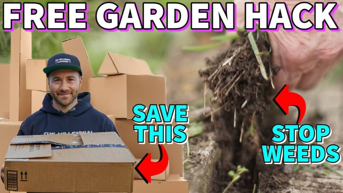 You'll Never Throw CARDBOARD Away After Watching This: Grow A WEED FREE Garden For Free!