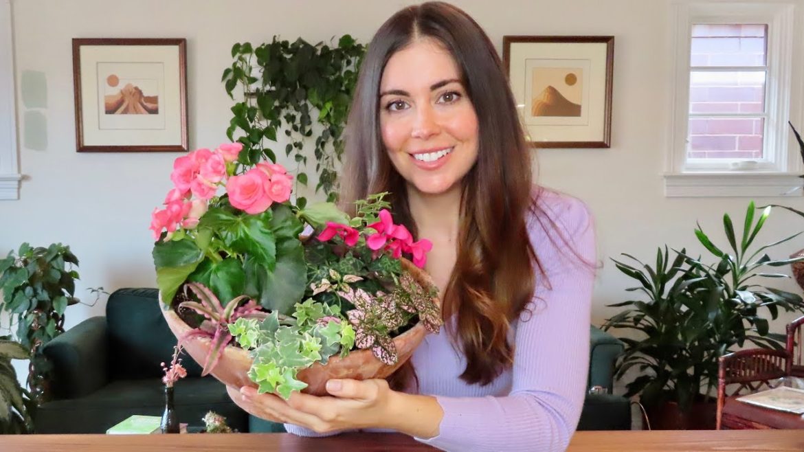 Making A Spring Container for Indoors | Container Gardening