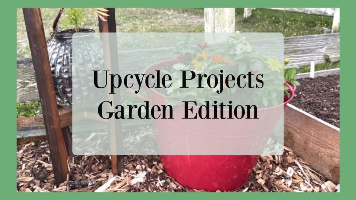 UPCYCLE Projects Garden Edition | Trash to Treasure Garden Ideas UPCYCLE Projects Garden Edition | Trash to Treasure Garden Ideas