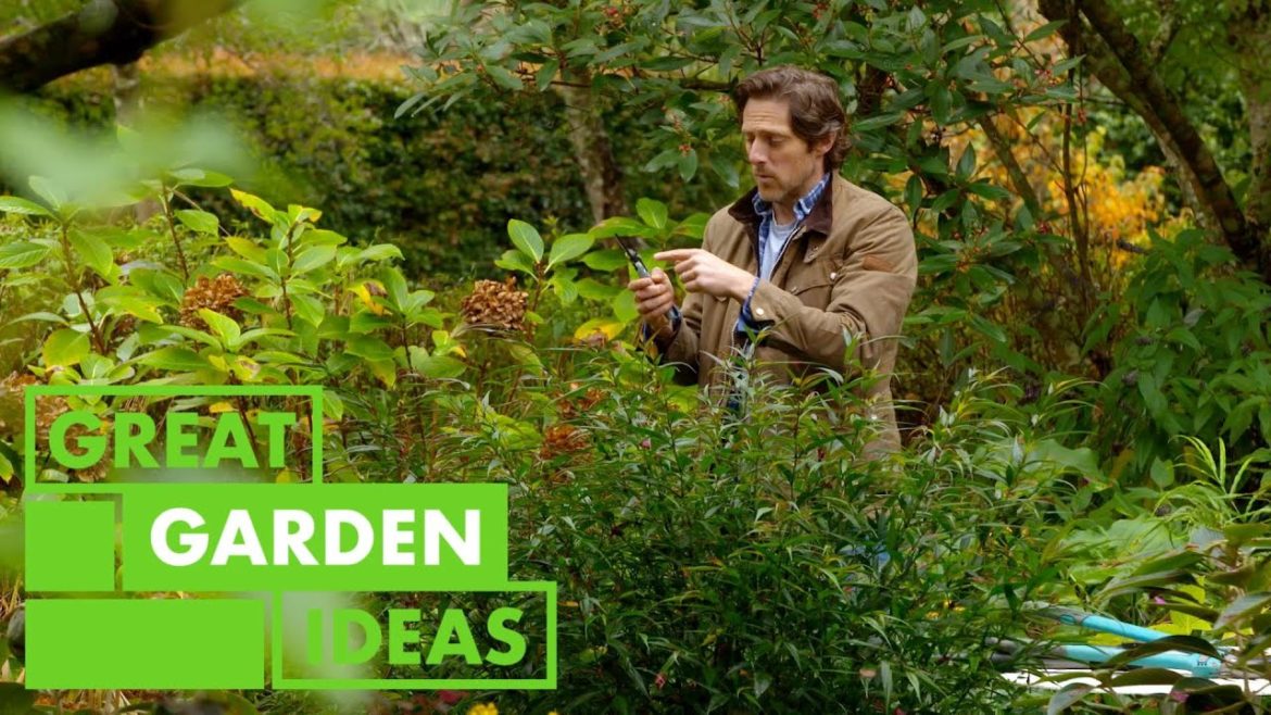 Which Cutting Tool | GARDEN | Great Home Ideas