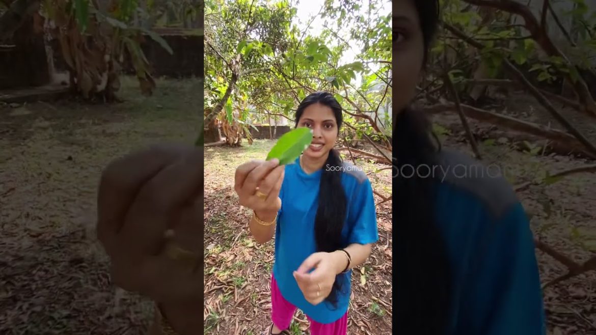 90’s പിള്ളേർക്ക് ഇതൊക്കെ ഒരു ഹരം ആയിരുന്നു 😱 അല്ലേ #shorts #trending #viral #diy #art #sooryamanu 90’s പിള്ളേർക്ക് ഇതൊക്കെ ഒരു ഹരം ആയിരുന്നു 😱 അല്ലേ #shorts #trending #viral #diy #art #sooryamanu