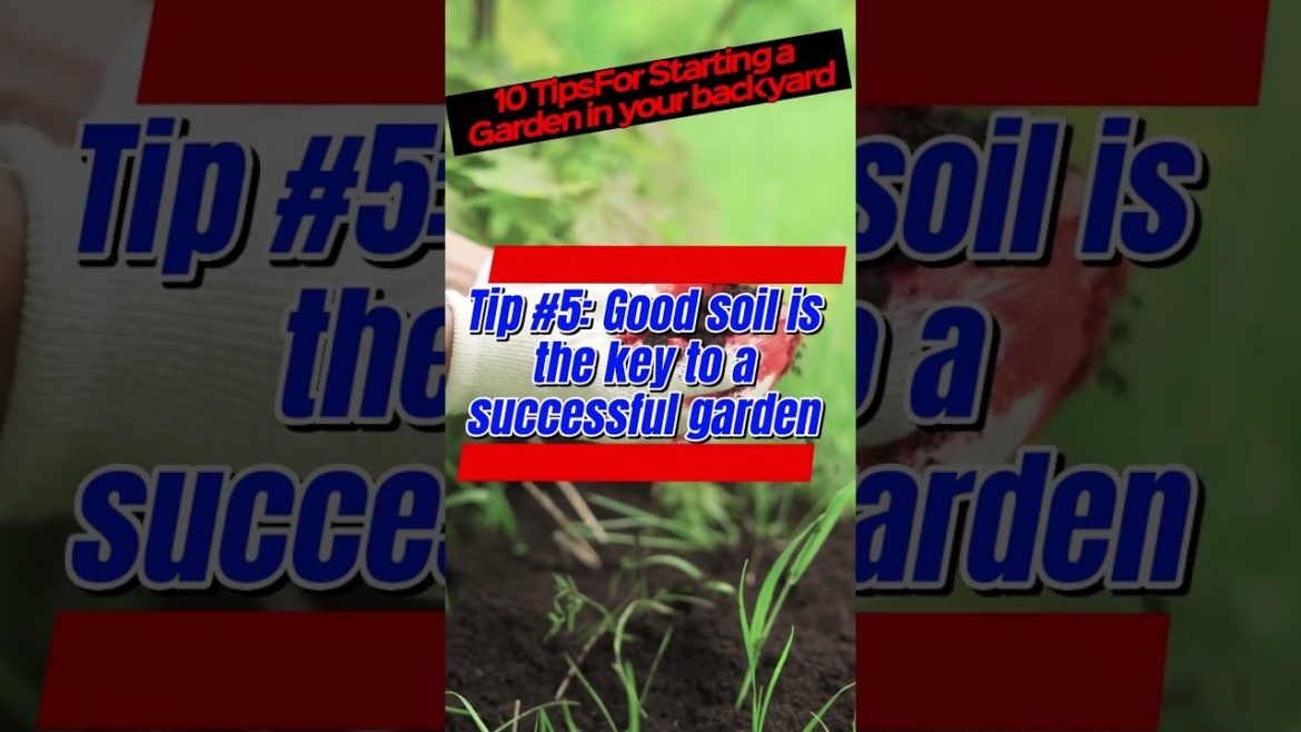 Gardening Tips #5: Good soil is the key to a successful garden