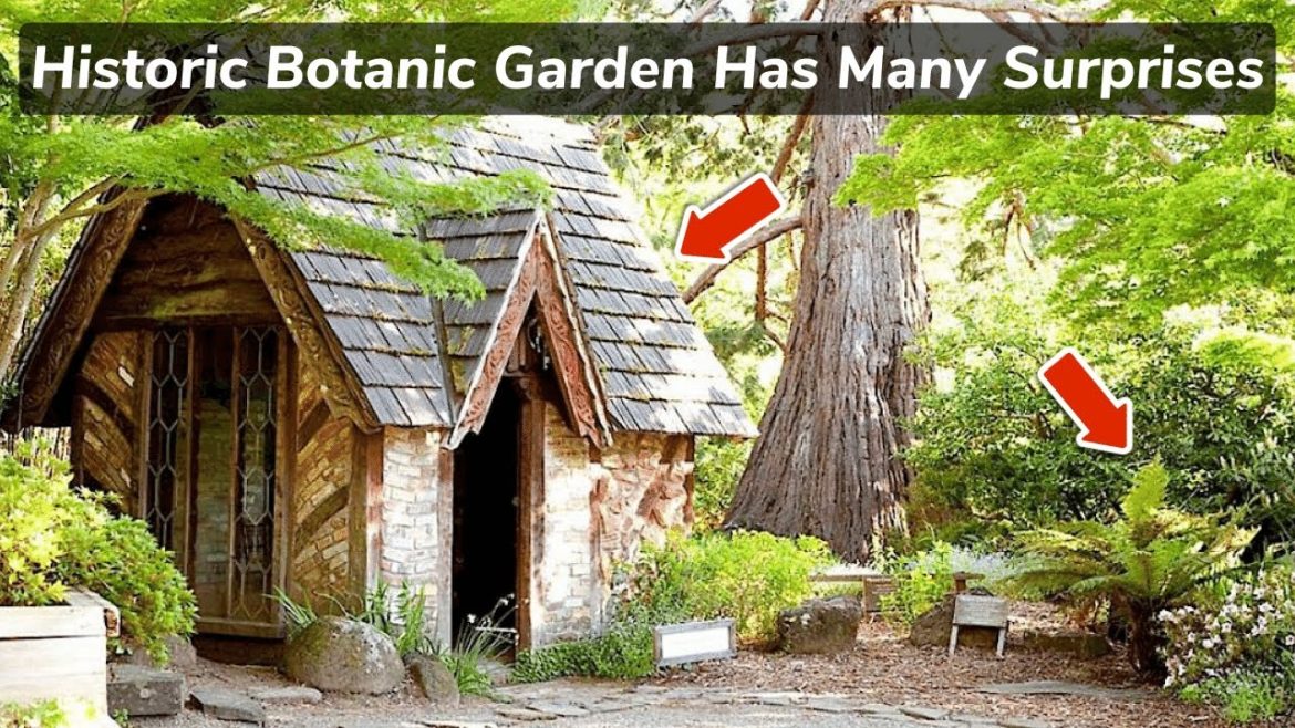 Exploring Bay Area's WHIMSICAL HISTORIC BOTANICAL GARDEN: Marin Art And Garden Center