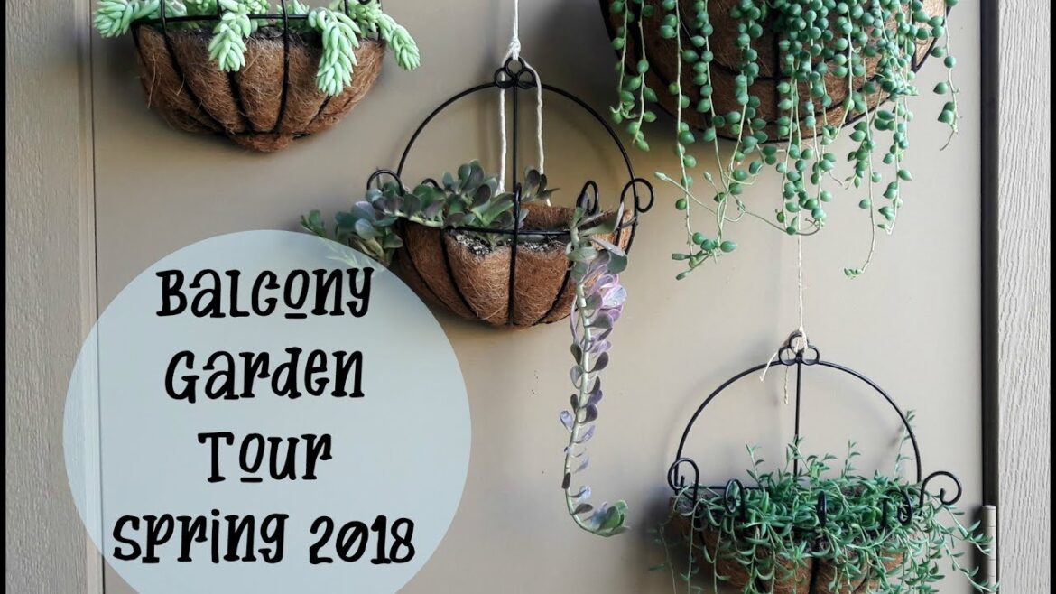 Balcony Garden Tour Spring 2018  (Container gardening, Succulent gardening)