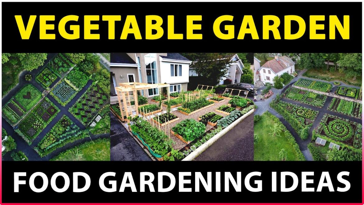 Vegetable Gardening / Food Gardening | Garden ideas and tips for Beginners